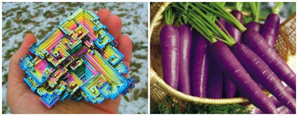 Node.js developers for hire with 3+ years of experience are as rare as purple carrots and Bismuth crystals pictured in this image